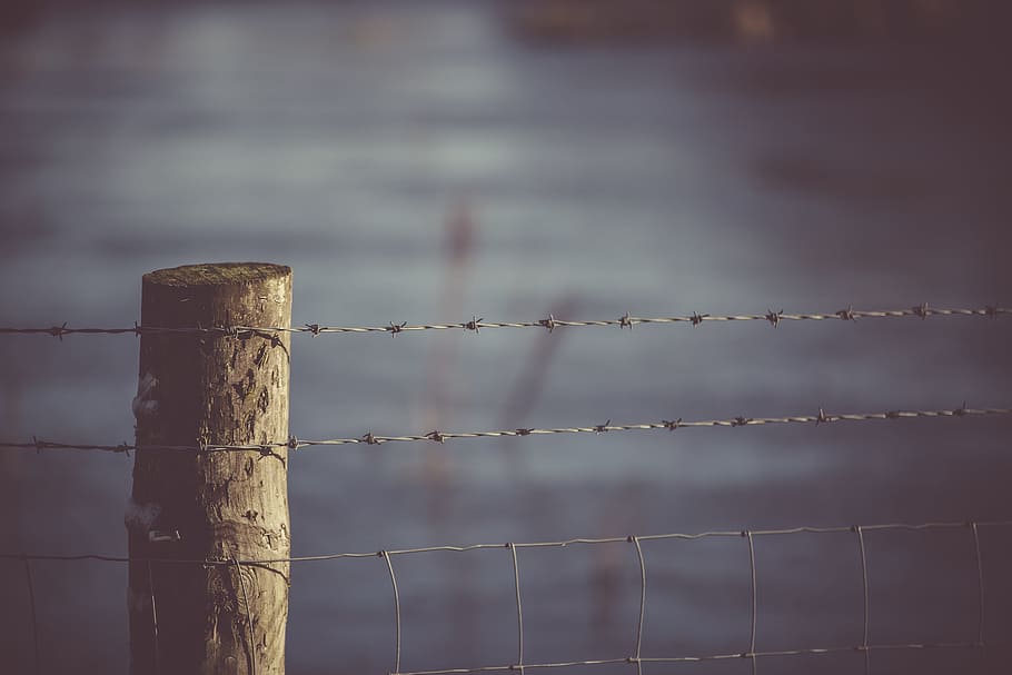 barbed, wire, fence, field, farm, lake, river, blur, boundary, barrier