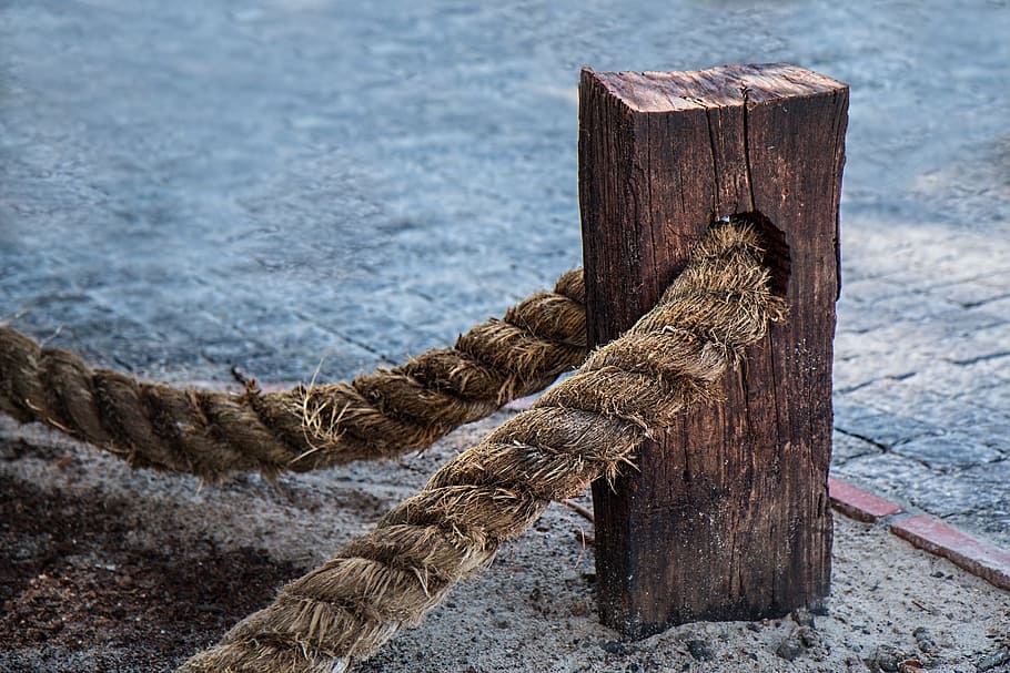 rope, support, wood, wooden, strong, tough, water, wood - material, strength, focus on foreground