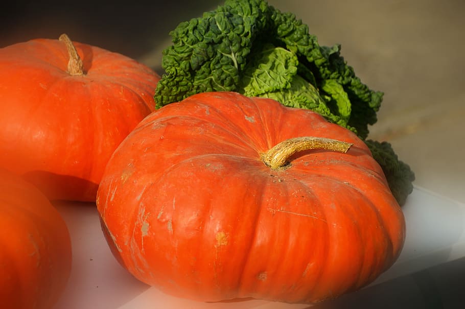 pumpkin, cabbage, vegetables, food, costs, harvest, variety, assortment, bio, colorful