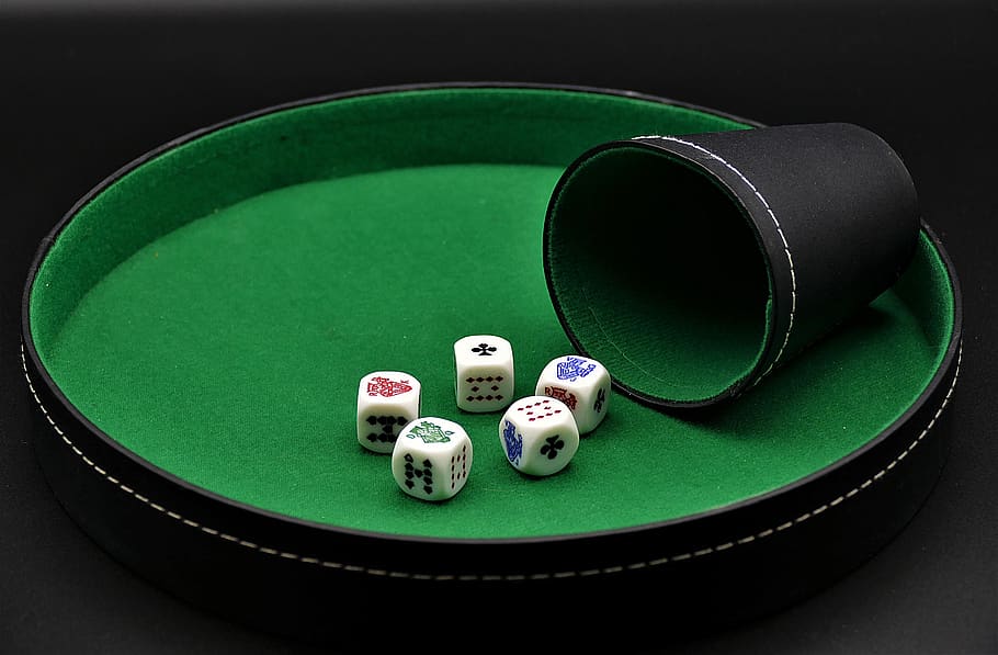 poker, dice poker, gambling, entertainment, risk, play, win, cube, green color, indoors