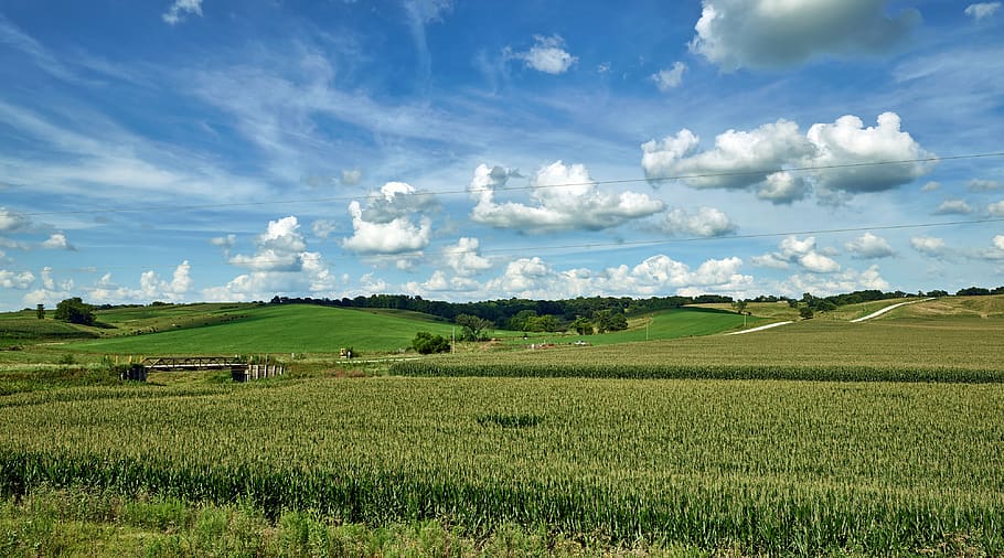 iowa, corn, cornfield, sky, clouds, summer, agriculture, farm, landscape, nature