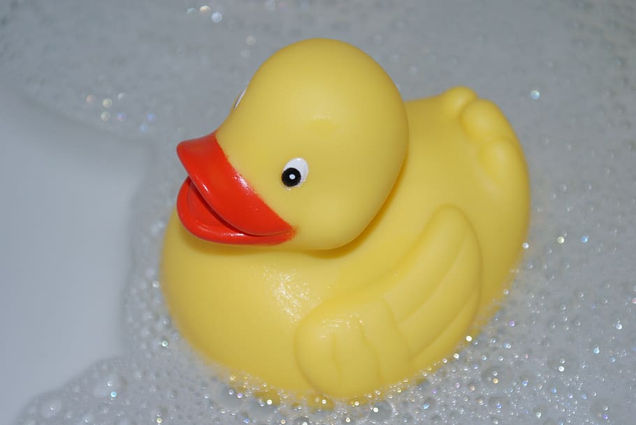 duck, bath, yellow, plastic, rubber duck, toy, representation, animal representation, indoors, domestic bathroom