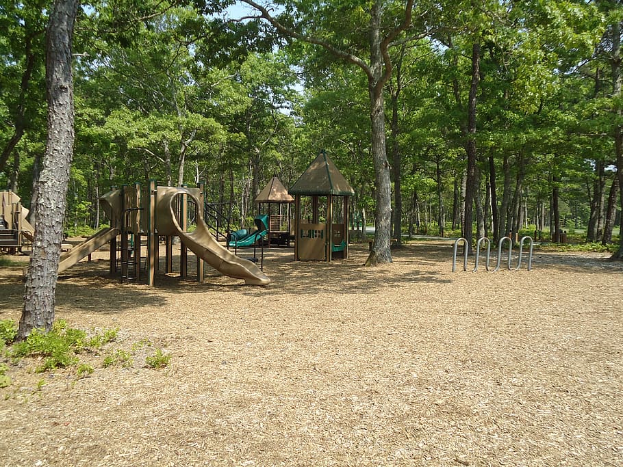 playground, slide, children, fun, trees, tree, plant, architecture, built structure, green color