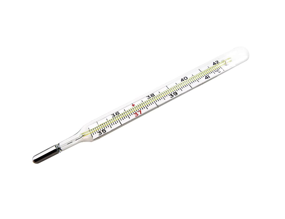 thermometer, measure, sickness, health, medical, studio shot, white background, healthcare and medicine, single object, cut out