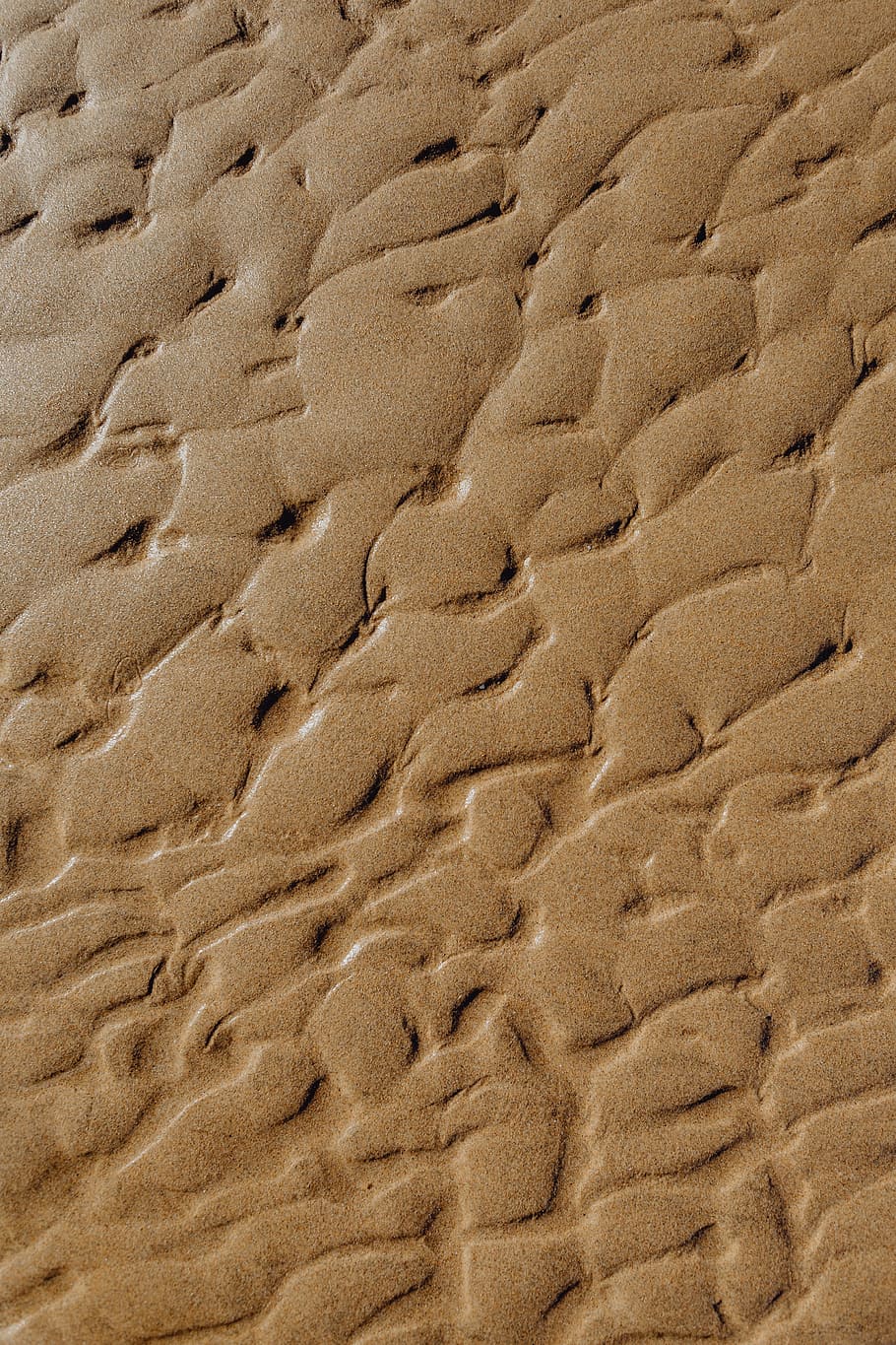 resumo, linha, projetado, água, textura de areia, praia, areia, fundo, textura, padrão