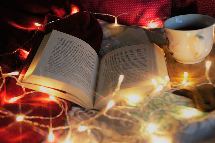 reading, book, to read, literature, open, burning, fire, flame, illuminated, close-up