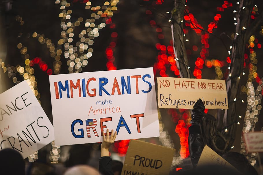 posters, people, rally, protest, immigrants, us, america, human ights, night, bokeh