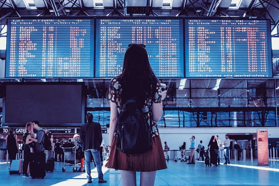 young, woman, bag, checking, flight timetable, international, airport, group of people, women, adult