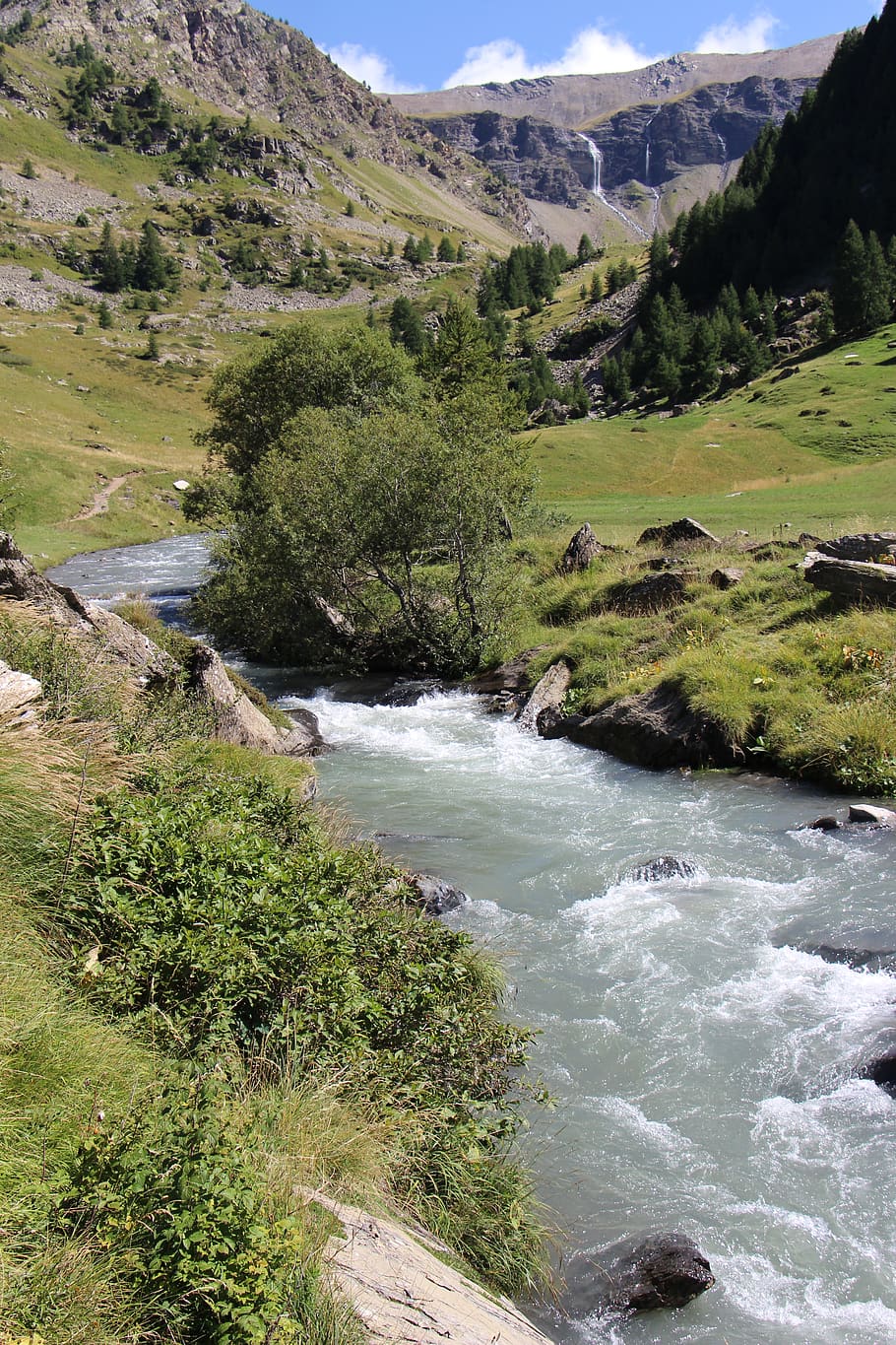 torrent, mountain, hautes alpes, water, beauty in nature, scenics - nature, plant, tree, nature, river