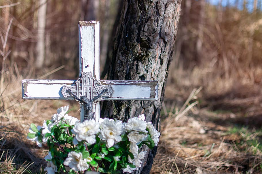 cross, the tomb of, monument, jesus, christ, flowers, forest, tree, cemetery, death