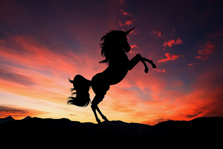 unicornio, puesta de sol, fantasía, magia, caballo, criatura, mito, semental, naturaleza, verano