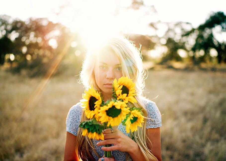 sunflower, yellow, petal, field, farm, garden, nature, plant, sunlight, sunshine
