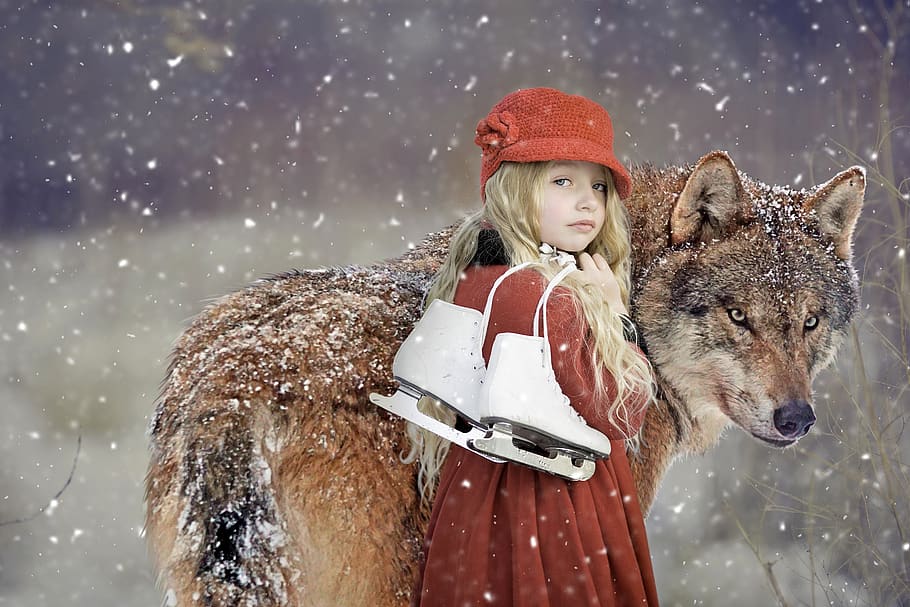 rotkäppchen, wolf, girl, child, snow, snowflakes, winter, christmas, fairy tales, fairytale