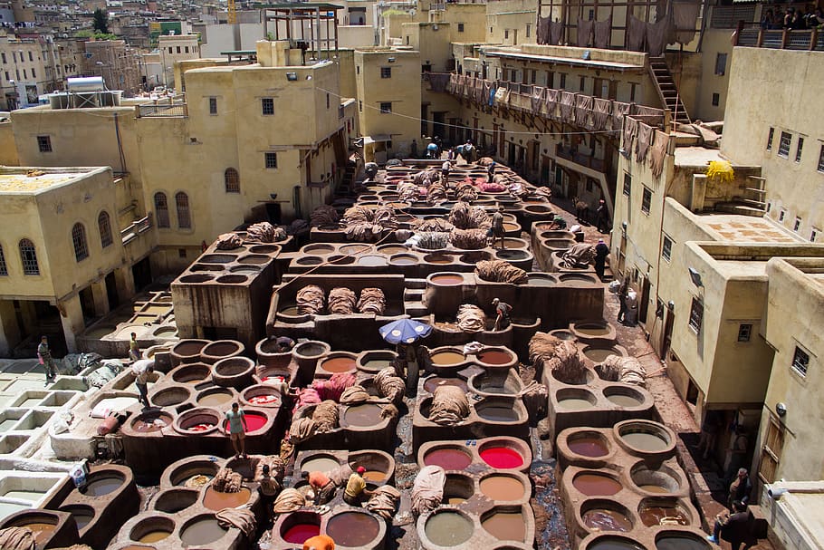 morocco, the tannery, skin, fez, color, skins, smelly, artisans, moroccan, trip