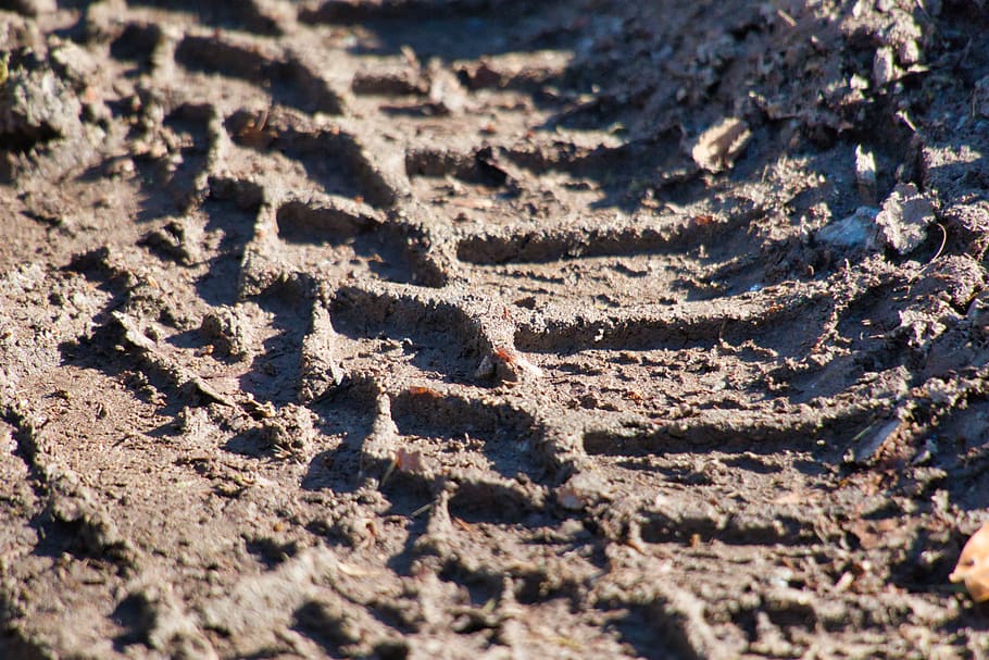 mature imprint, mud, tire track, profile, land, sand, nature, pattern, sunlight, high angle view