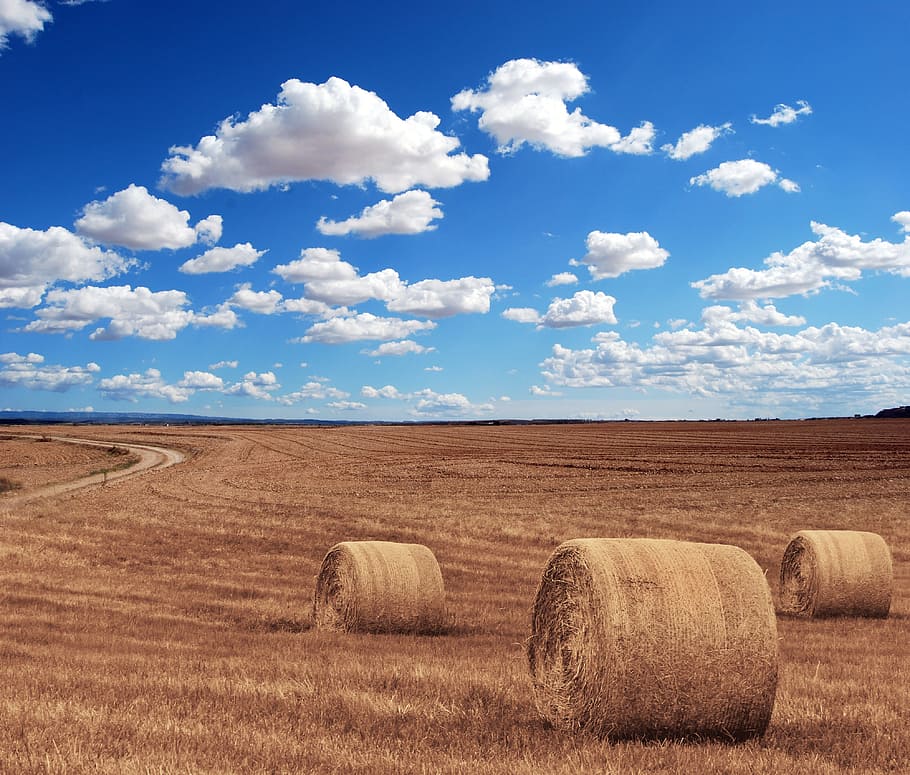 farm, field, hay, agriculture, grass, blue, sky, clouds, sunshine, summer
