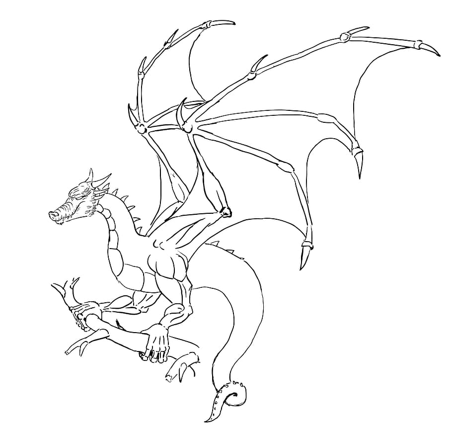 dragon, omg, ololo, drawing, graphic, art and craft, creativity, drawing - art product, white background, studio shot