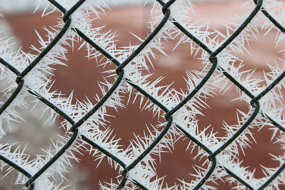 ripe, crystals, winter, wire fence, cold, frost, frozen, iced, crystal formation, winter magic