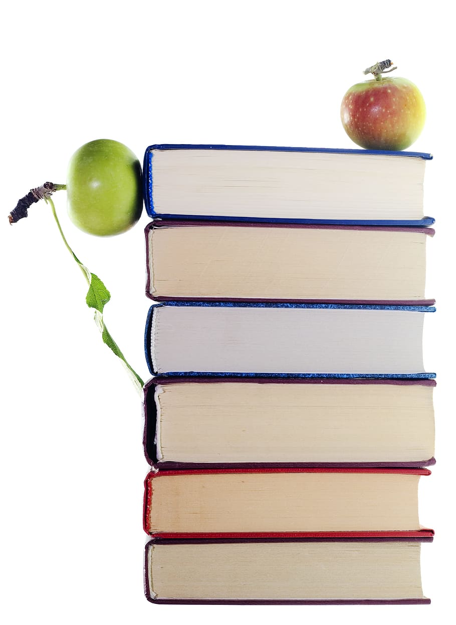 apple, back, book, building, business, close-up, collection, copy, data, eating