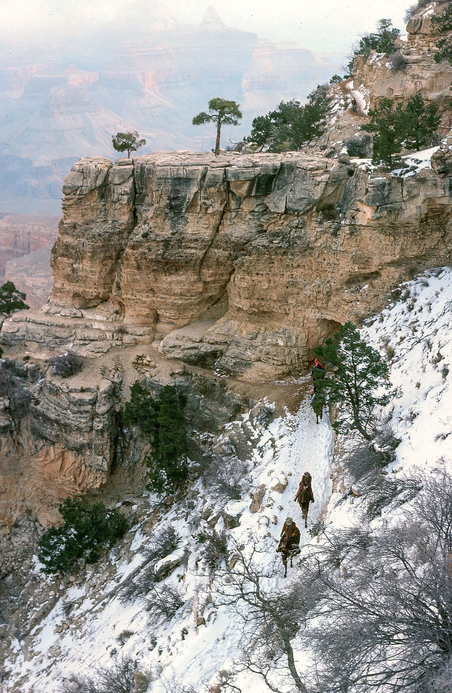 view, snow, covered, rim, grand, canyon, arizona., mule riders, passing, rock tunnel