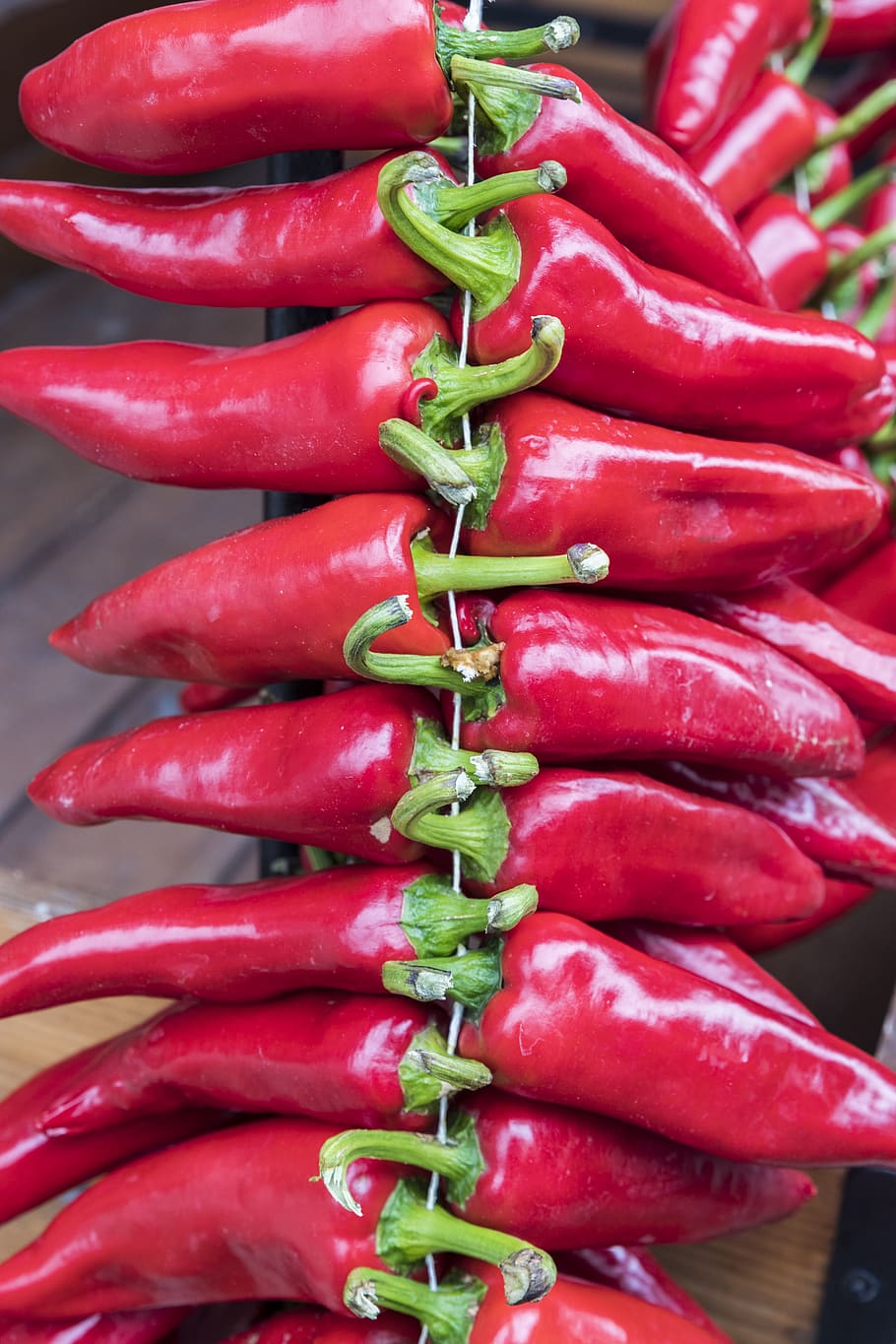 peppers, red, pepper espelete, spicy, vegetable, freshness, food and drink, food, spice, chili pepper