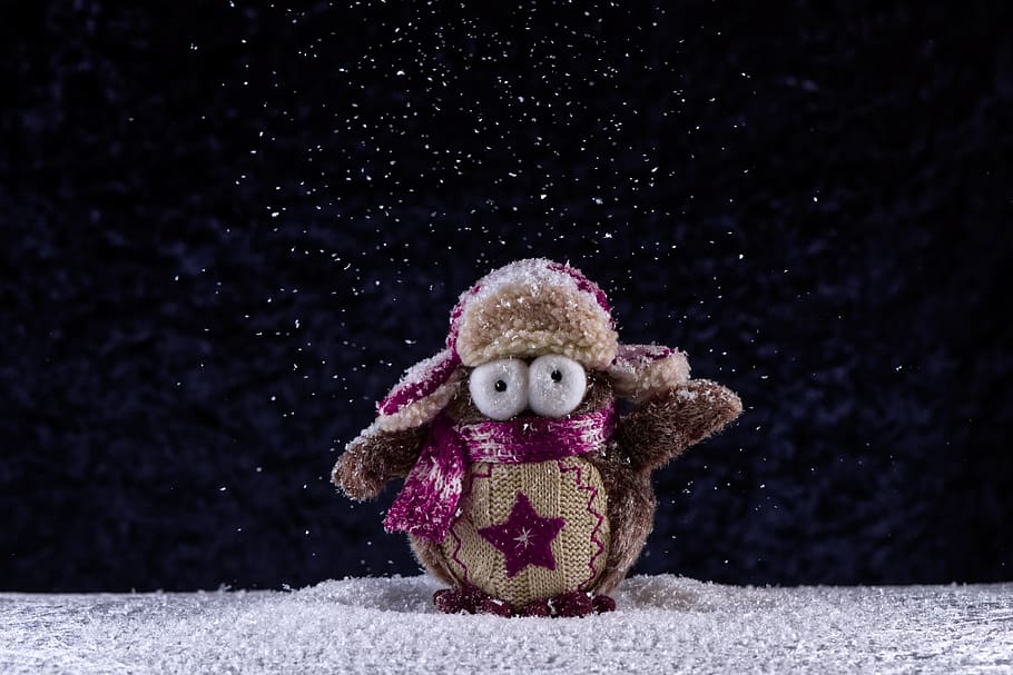 owl, winter, snow, funny, cap, scarf, bird, cute, decoration, sweet