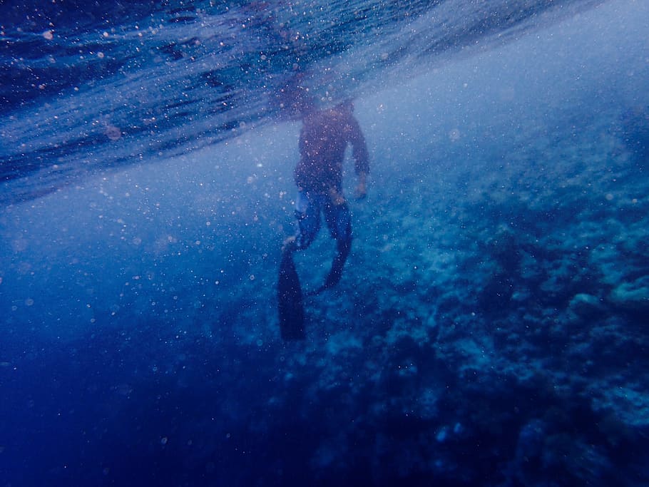 air, bawah air, biru, karang, menyelam, manusia, laut, olahraga, petualangan, bawah laut