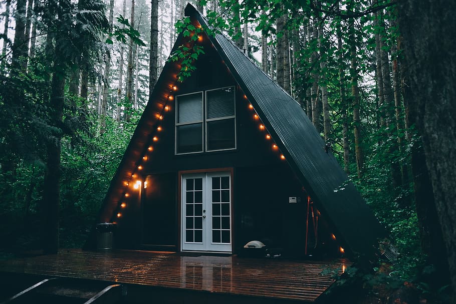 cabin, house, light bulbs, lights, forest, woods, nature, camping, trees, leaves