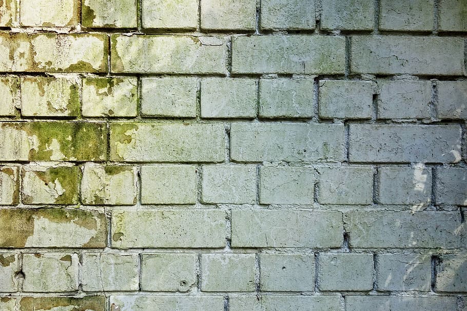 pared de ladrillo, pared, ladrillo, pared de ladrillo blanco, albañilería, costura, cemento, mortero, molde, molde verde