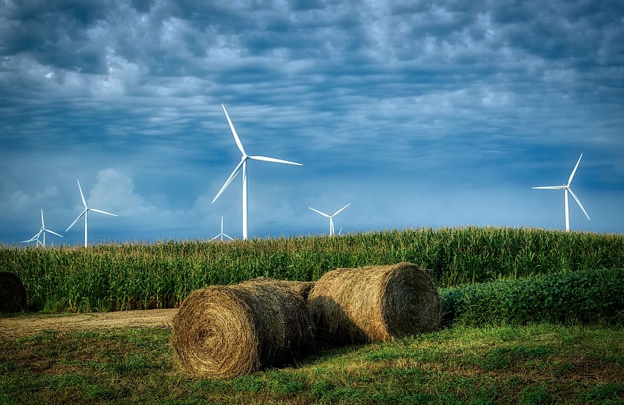 wind turbine, green energy, ecological, iowa, america, sky, clouds, landscape, corn, cornfield