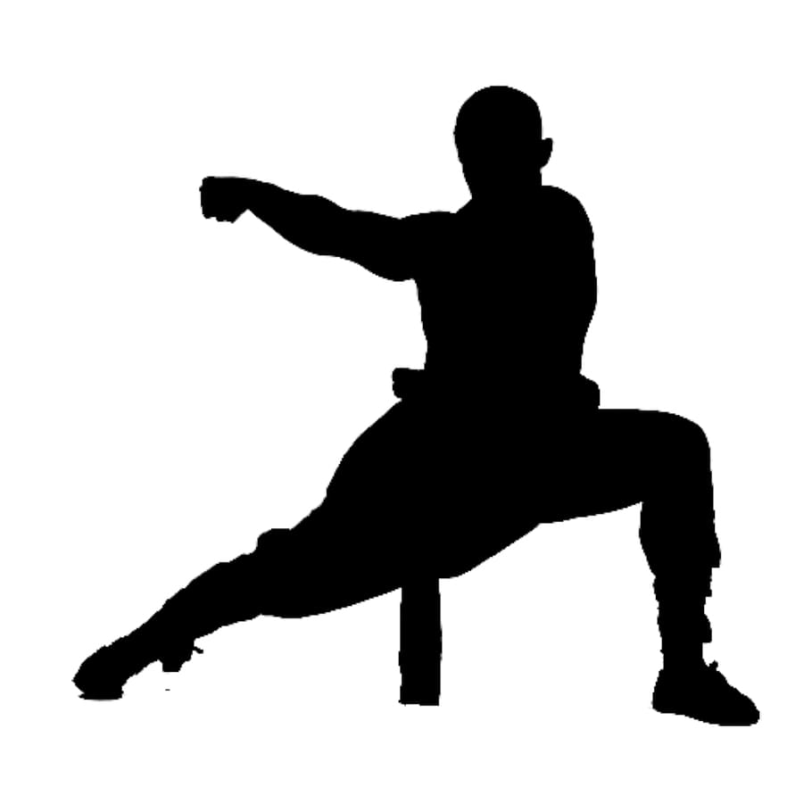 silueta, marcial, artista, llamativo, pose., kung fu, wushu, shaolin, acción, activo