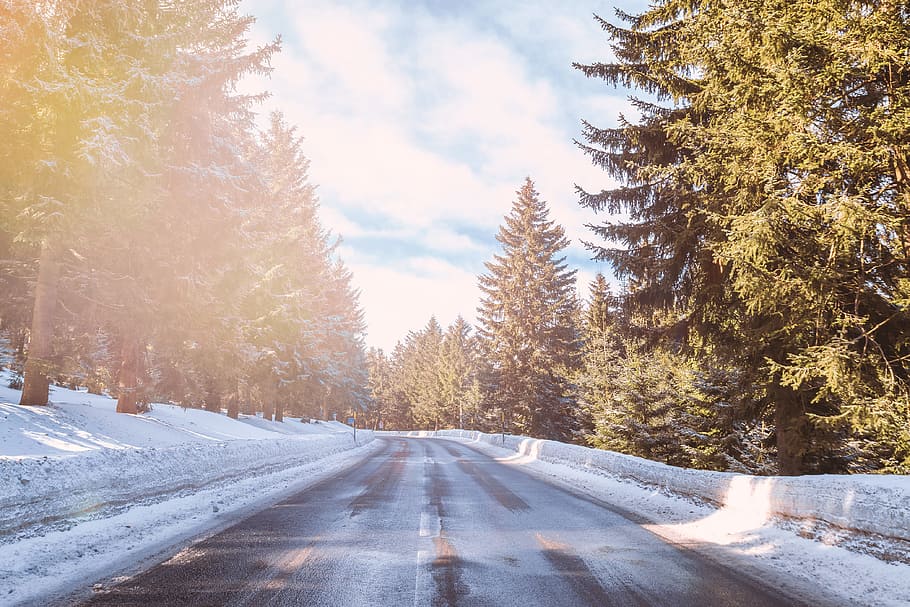 beautiful, winter weather, road, forest, tree, plant, winter, cold temperature, snow, direction