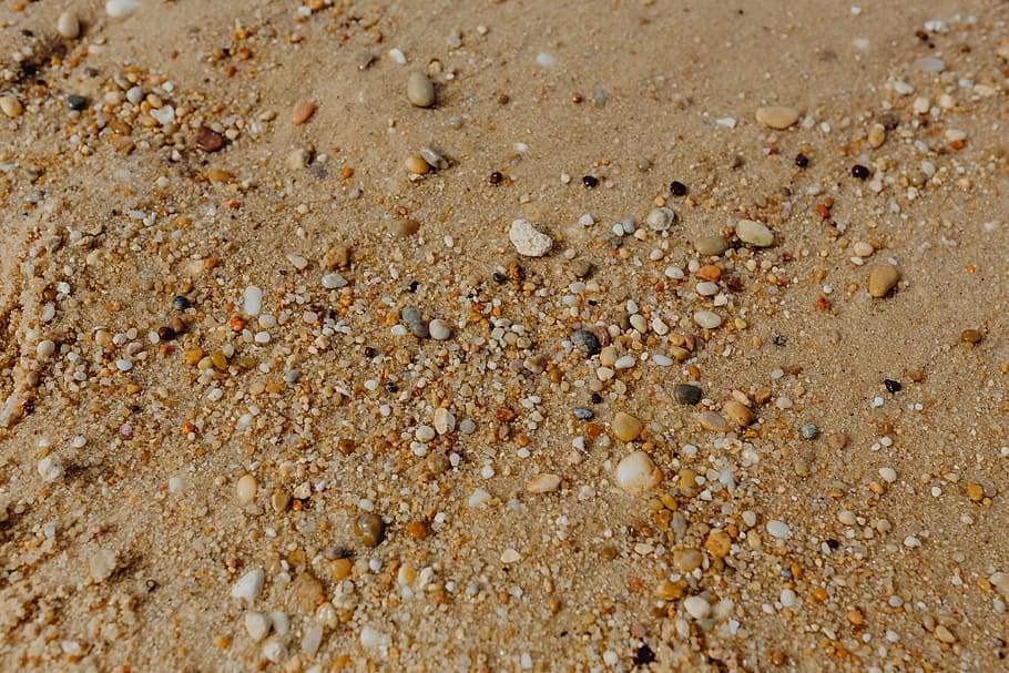 fundo da praia de areia, conchas do mar, &, seixos, -, muitos, redondo, pequeno, pedras, praia