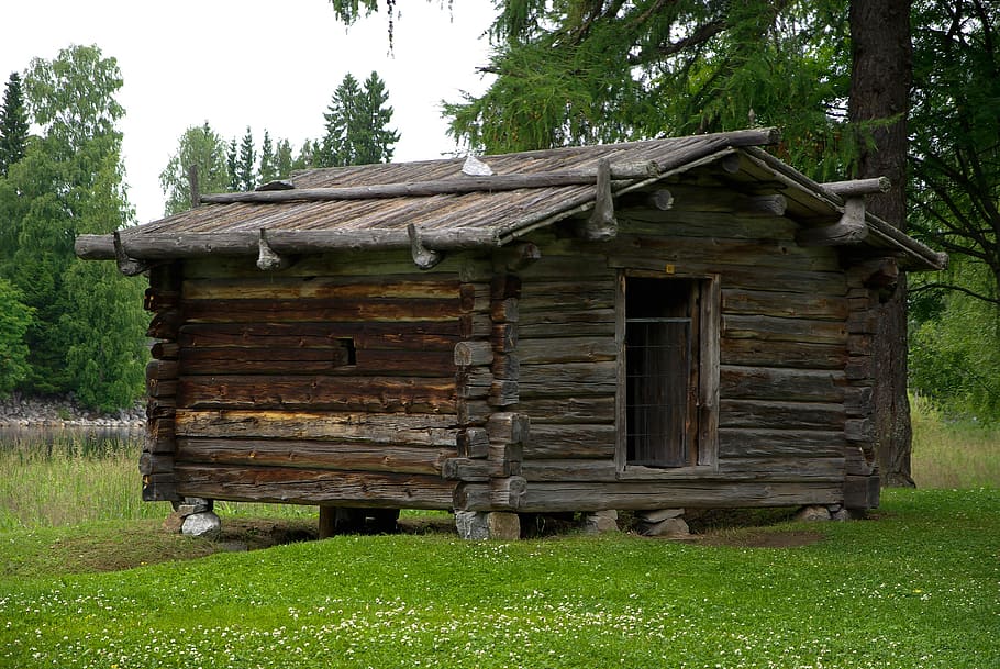 escandinávia, finlândia, cabine, madeira, casa, tradição, planta, árvore, arquitetura, terra