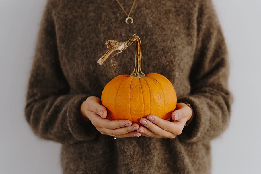 women, hands, sweater, holding, pumpkin, female, person, yellow, autumn, fall