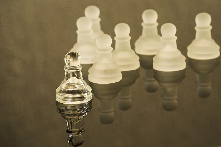 leadership, leader, chess, pawn, corporate, reflection, paw leading others, paw reflecting, reflecting surface, glass
