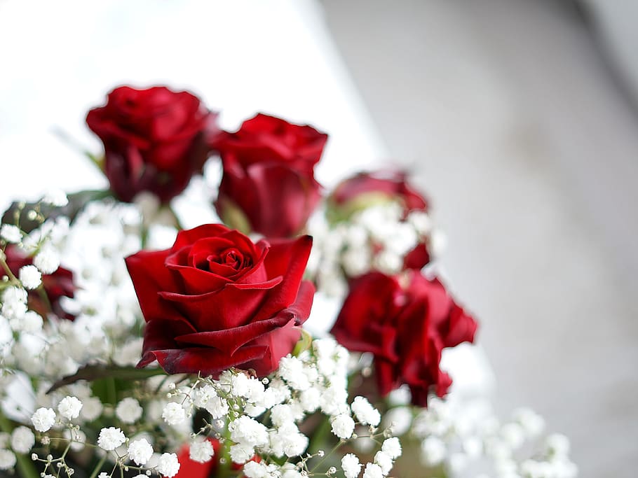 mawar, buket, pernikahan, hadiah, percintaan, cinta, dekorasi, daun bunga, Flora, Bunga