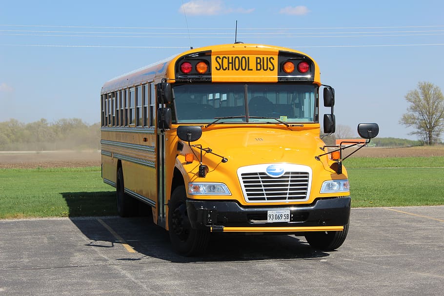 bus sekolah, bus, usa, mode transportasi, angkutan, kendaraan darat, kuning, hari, alam, kendaraan umum