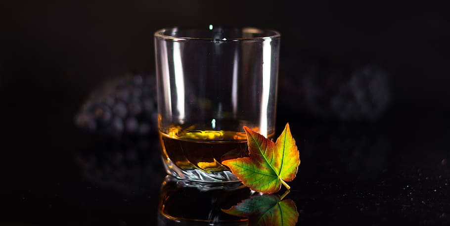 rum, whiskey, autumn, brandy, whisky, alcohol, whiskey glass, drink, glass, wiskeyglas