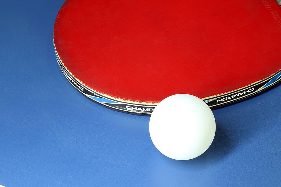 tênis de mesa, esporte, jogos, bola, jogar, mesa, raquete, atividades, passatempo, bola de ping-pong