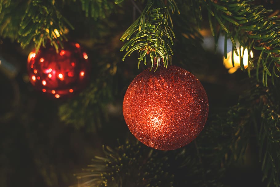 Natal, pohon, lampu, bola, dekorasi, ornamen, liburan, musim, kabur, pohon natal