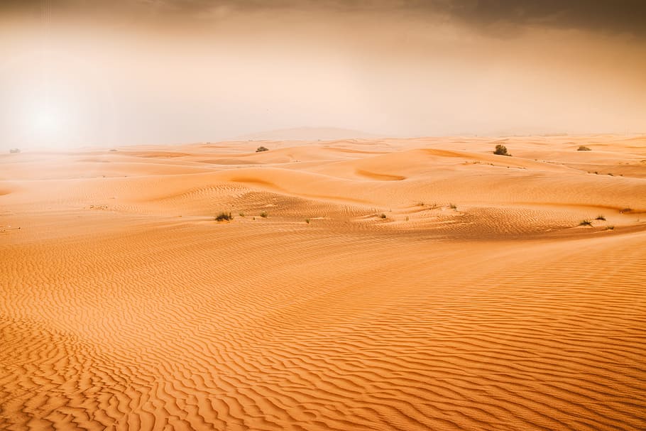 gurun pasir, emirat, gundukan pasir, pasir, gurun, lanskap, tanah, pemandangan - alam, lingkungan, iklim