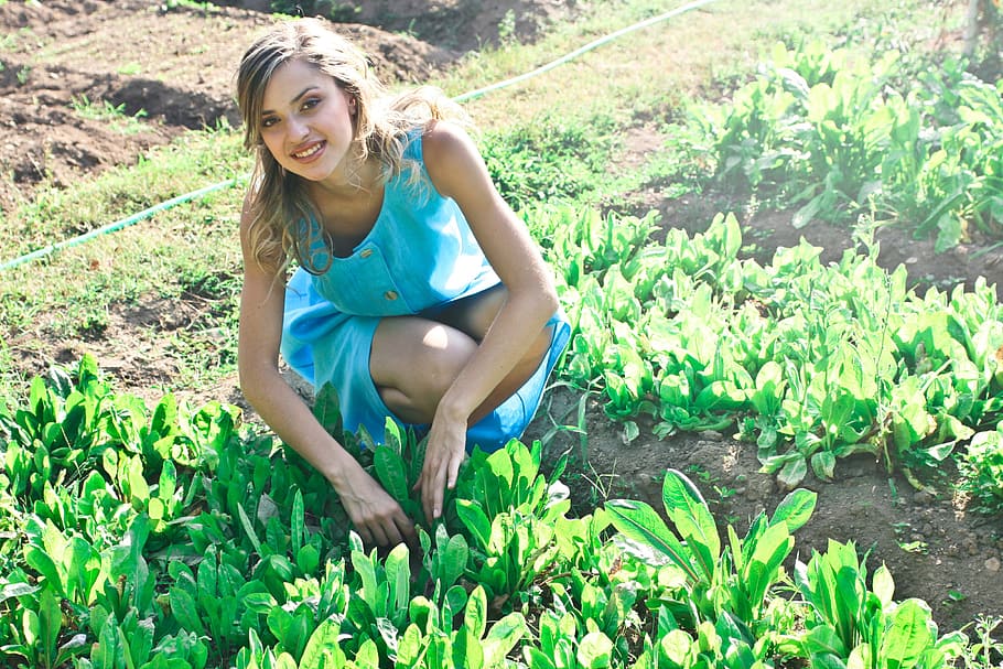 beautiful, young, woman, turquoise, blue, dress, plucking, herbs, farm, 20-25 year old