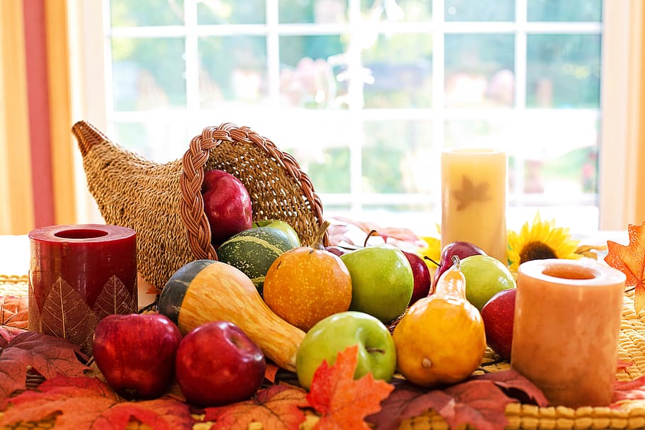 thanksgiving, cornucopia, fruit, autumn, harvest, holiday, abundance, decoration, arrangement, seasonal