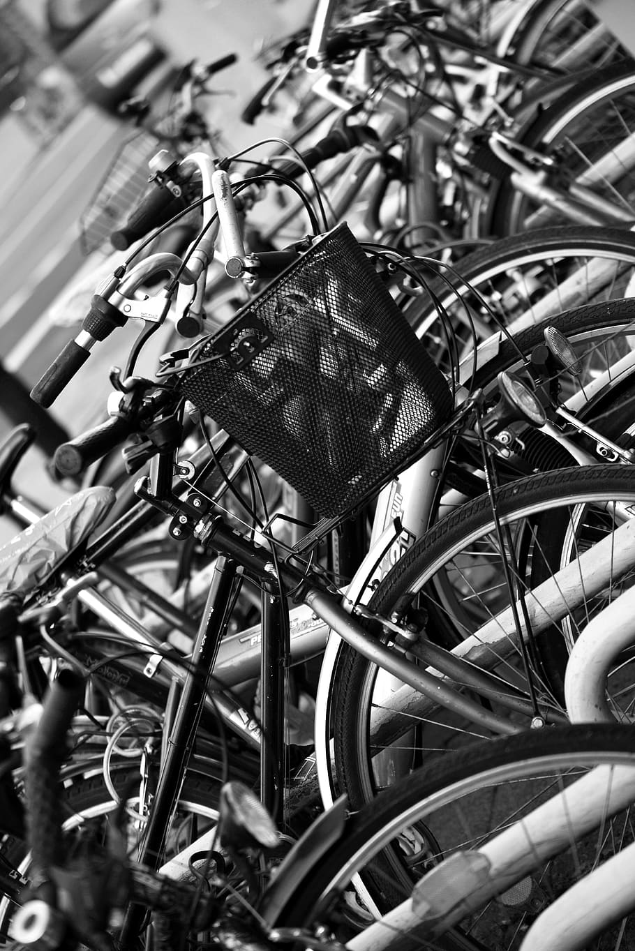 bicycles, bicycle basket, downtown, park, bike racks, many, wheels, handlebars, black white, bicycle
