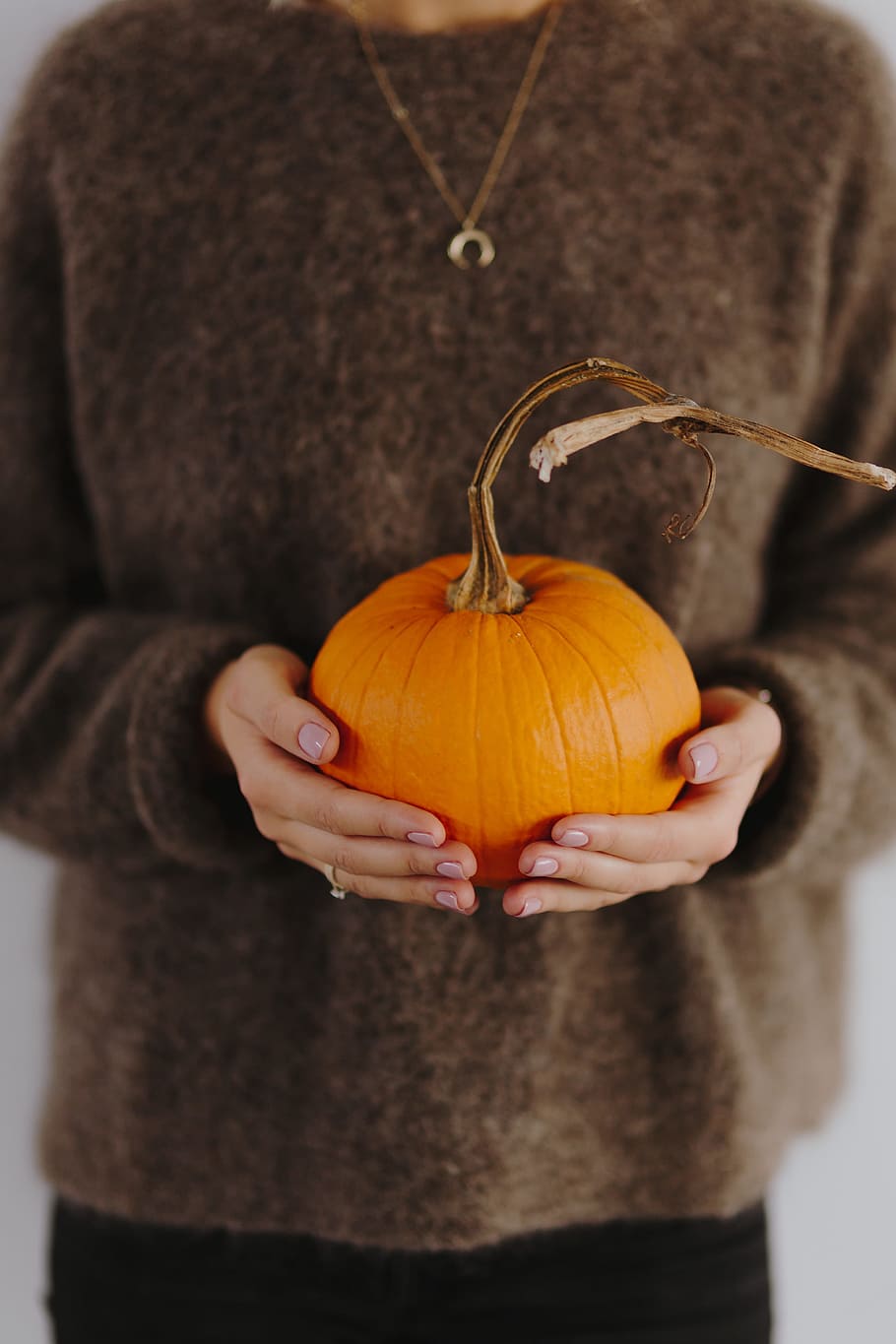 women, hands, sweater, holding, pumpkin, female, person, yellow, autumn, fall