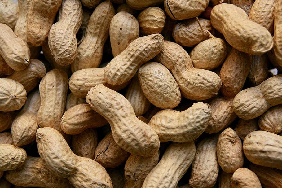 peanuts, nuts, food, large group of objects, backgrounds, food and drink, full frame, abundance, nut, wellbeing