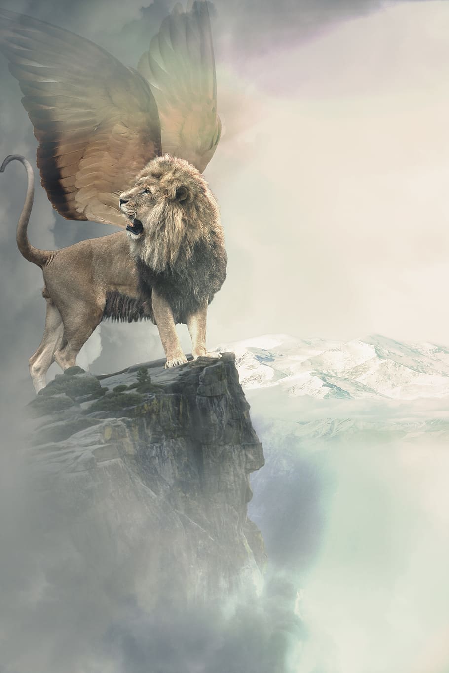 lion, wing, winged lion, mythology, rock, mountains, mythical creatures, composing, image editing, cold temperature
