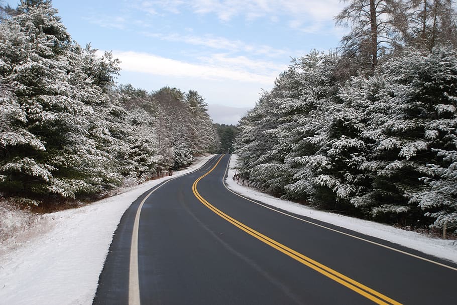 snow, road, winter, trees, scenic, tree, plant, direction, the way forward, transportation