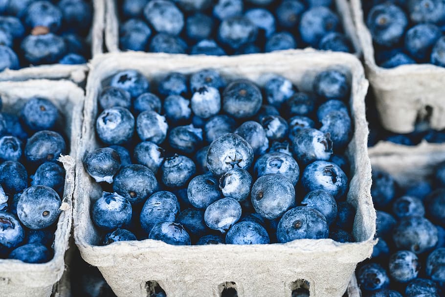 blueberry, buah-buahan, keranjang, makanan, pasar, buah beri, makanan sehat, buah, makanan dan minuman, kesegaran